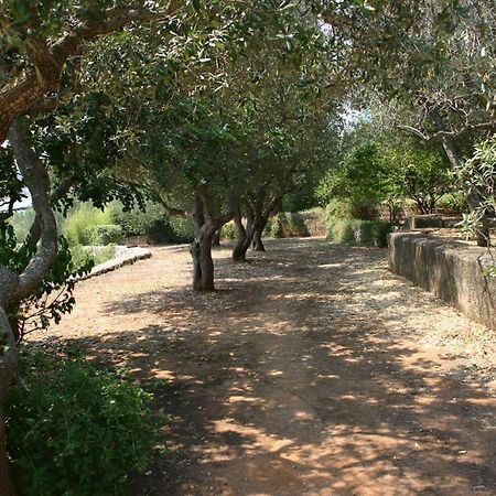 Appartamento In Villa Fortunata Terra Марина Серра Экстерьер фото