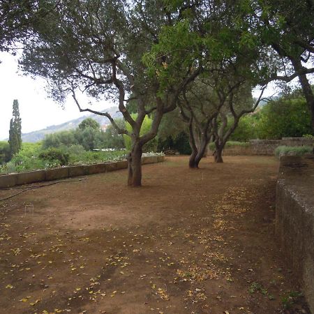 Appartamento In Villa Fortunata Terra Марина Серра Экстерьер фото