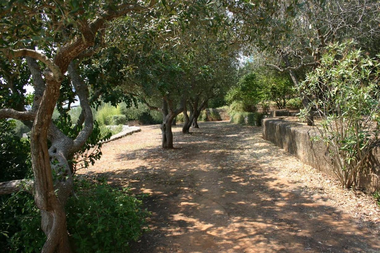 Appartamento In Villa Fortunata Terra Марина Серра Экстерьер фото