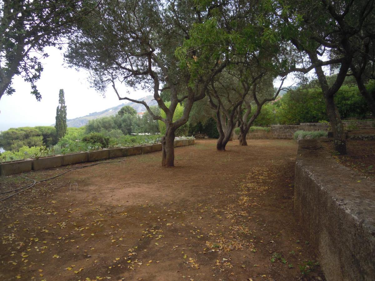 Appartamento In Villa Fortunata Terra Марина Серра Экстерьер фото